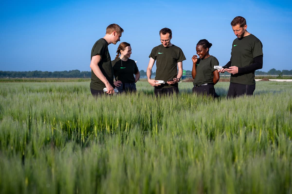 fieldwork16 full res